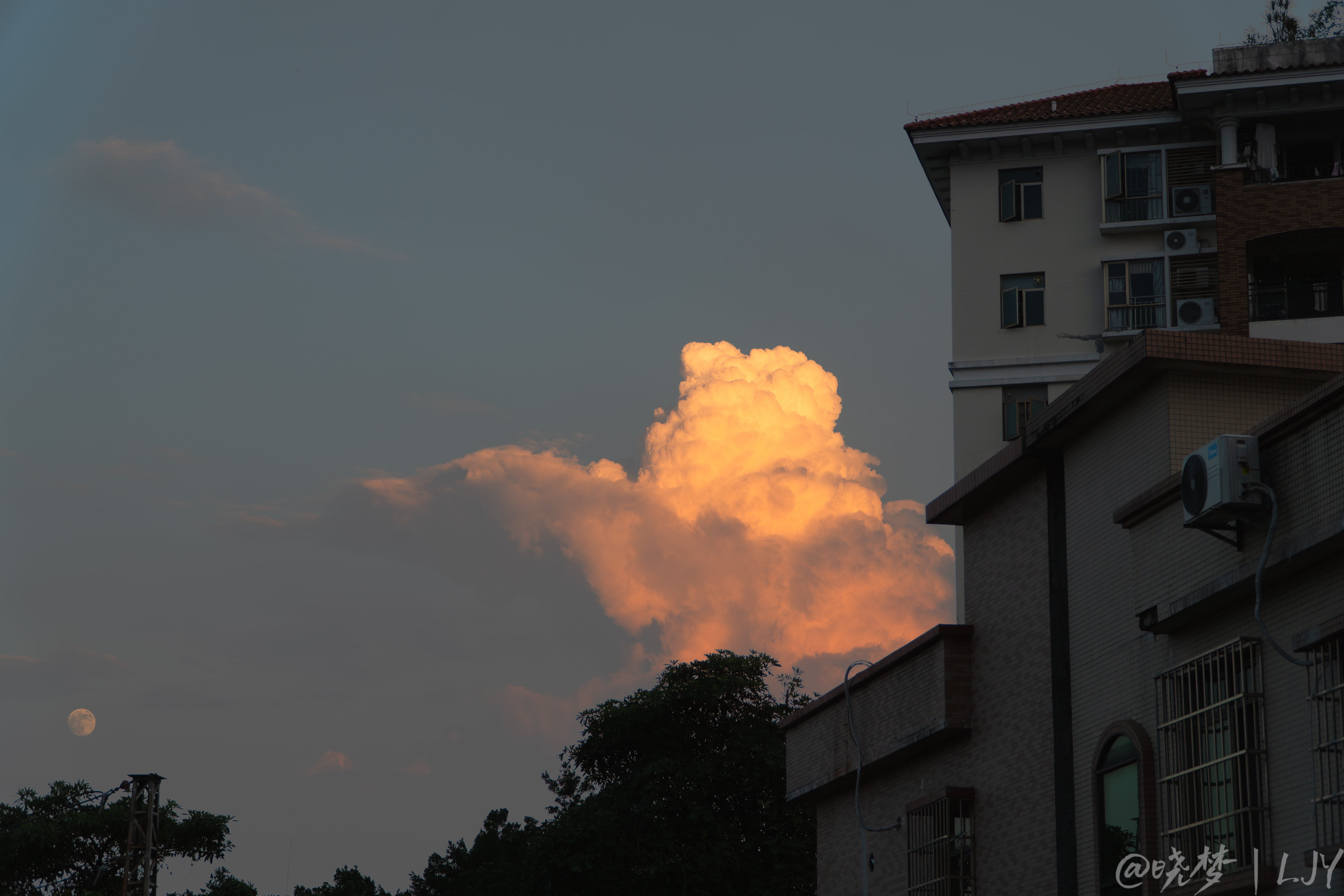 DSC05004-已增强-降噪.jpg